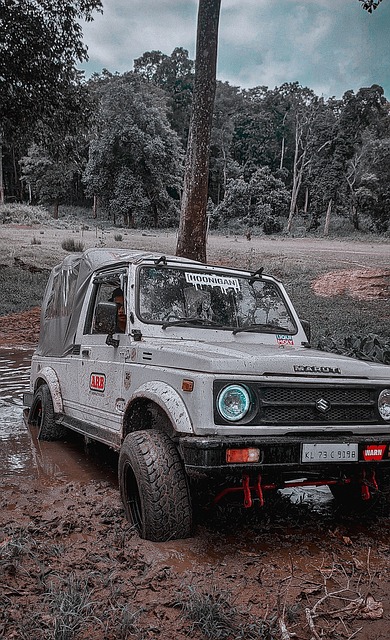 精明管理的 精明管理的