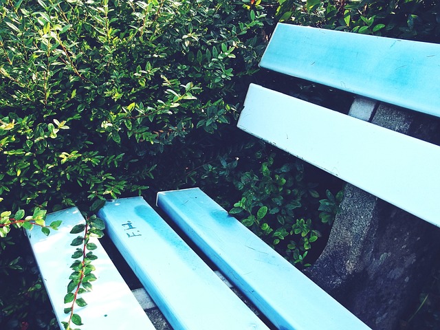 自加入国王 自加入国王