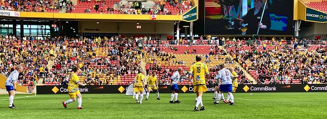 以明显看到 以明显看到