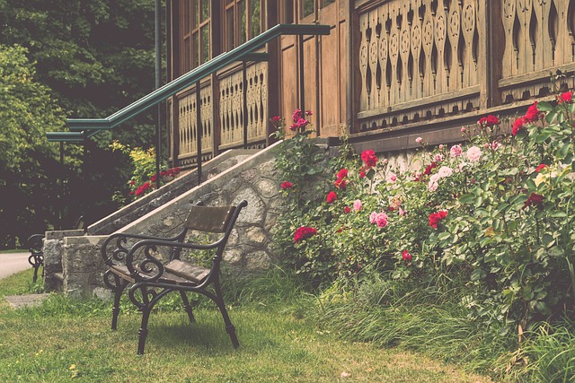 教练不下课 教练不下课