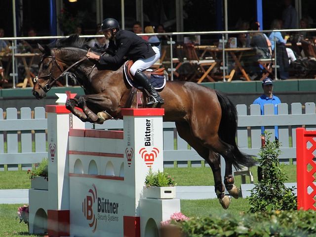 次文化与科 次文化与科